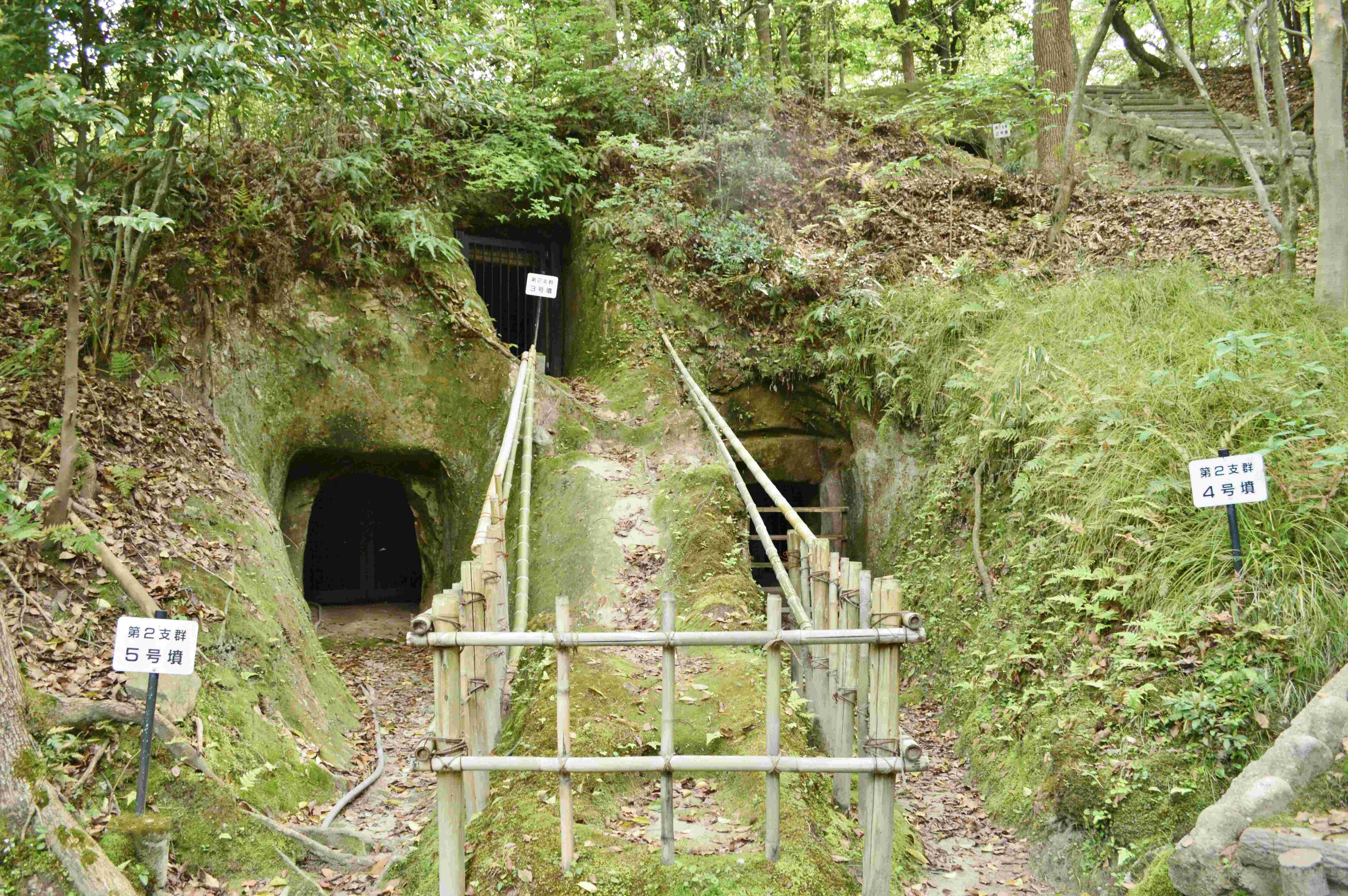 🏛️ 가시와라 시립 역사자료관(가시와라시리쓰레키시시료칸) 이미지 4